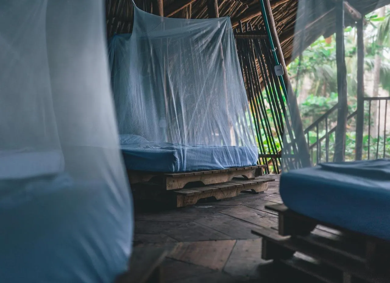Hostel Los Hermanos Beach Hostal Guachaca
